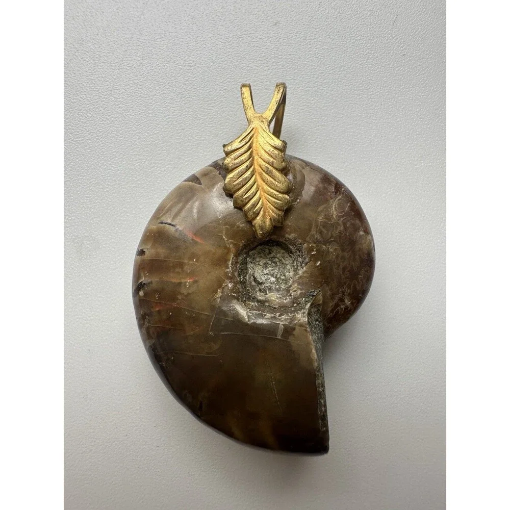 Iridescent Ammonite Fossil Pendant